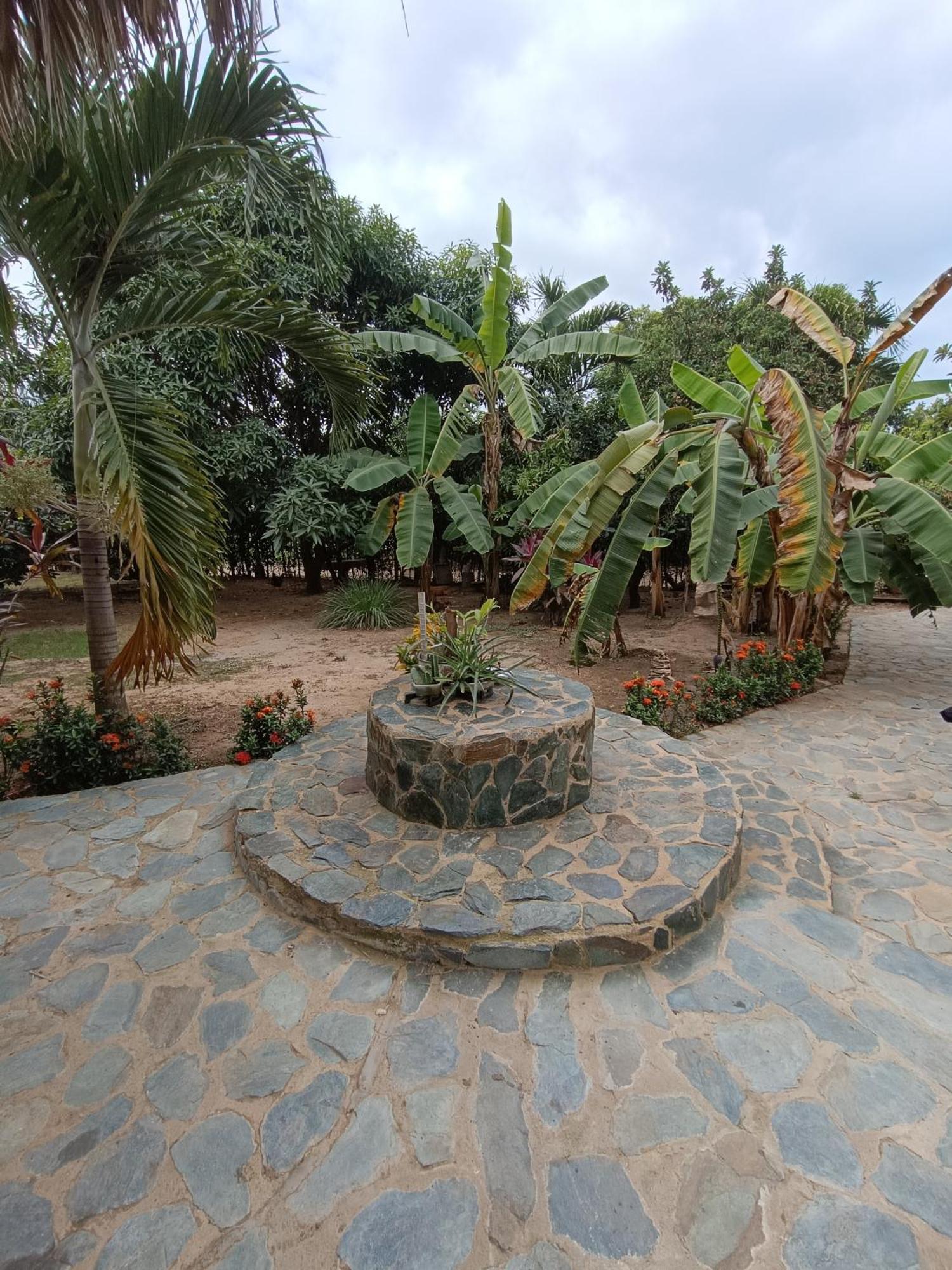 El Paraiso De Carmen Palomino Exterior photo